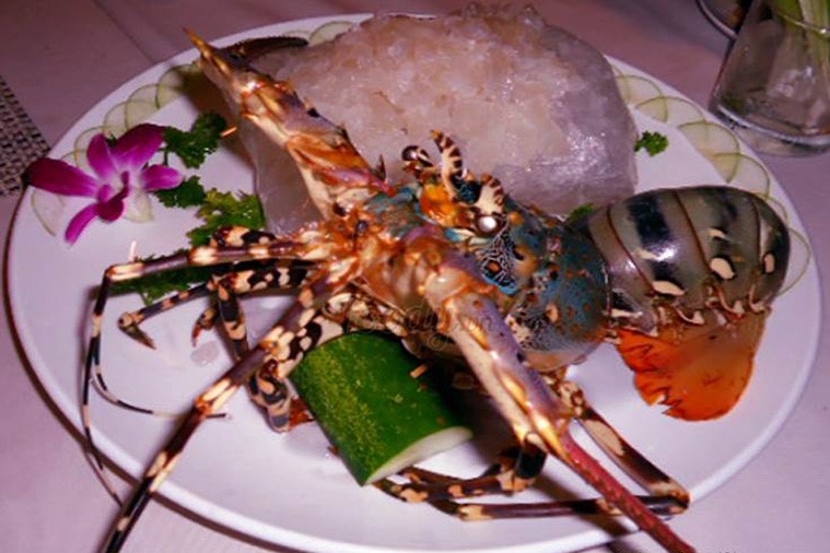 Syrena - Đà Nẵng